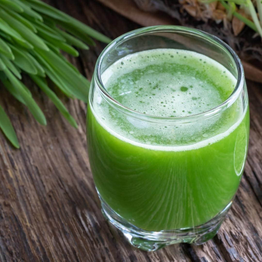 Polvo de Césped de Cebada Earthborn Elements 3.78L Suplemento Herbal