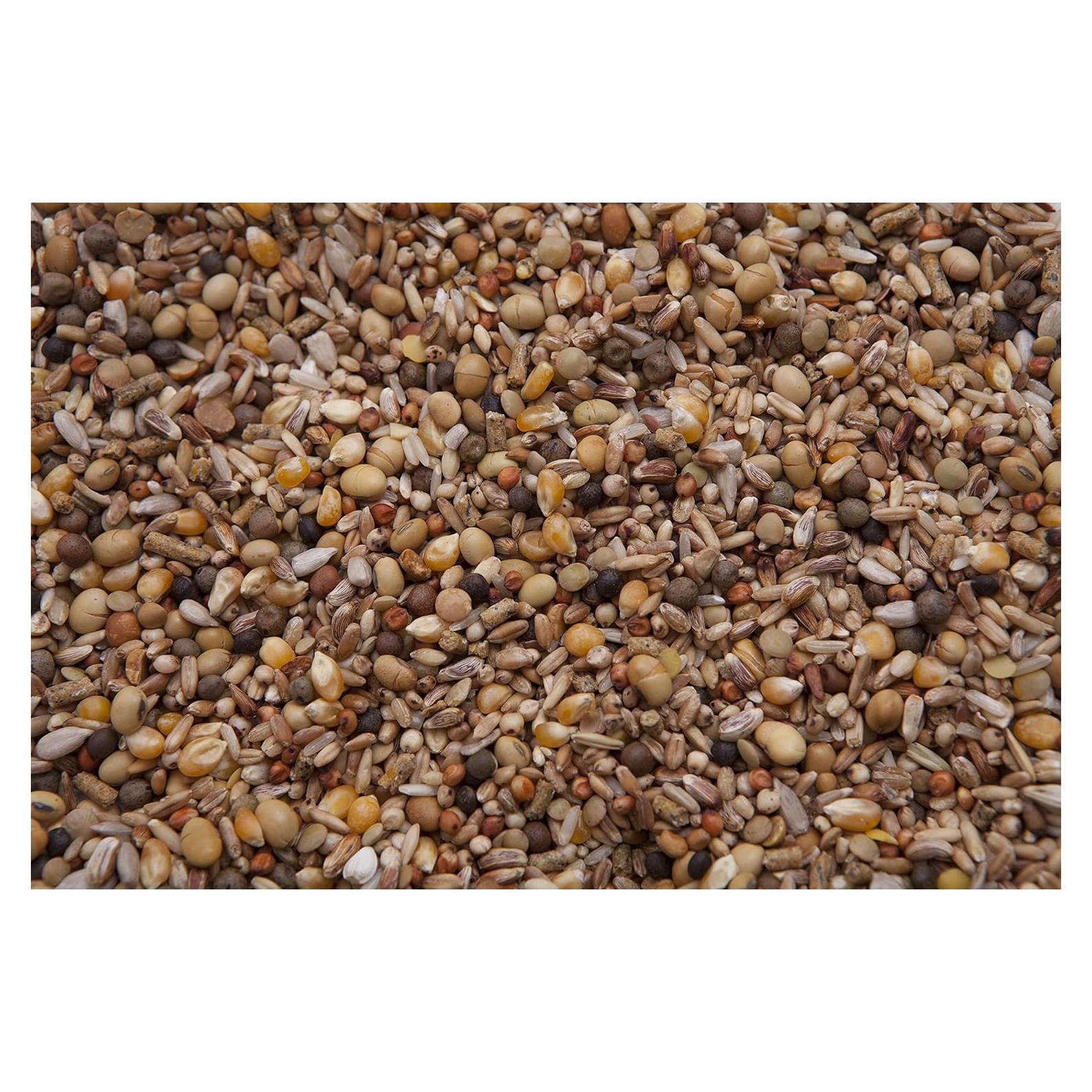 Mezcla para Palomas Squab Builder 18% Des Moines 9.07 kg