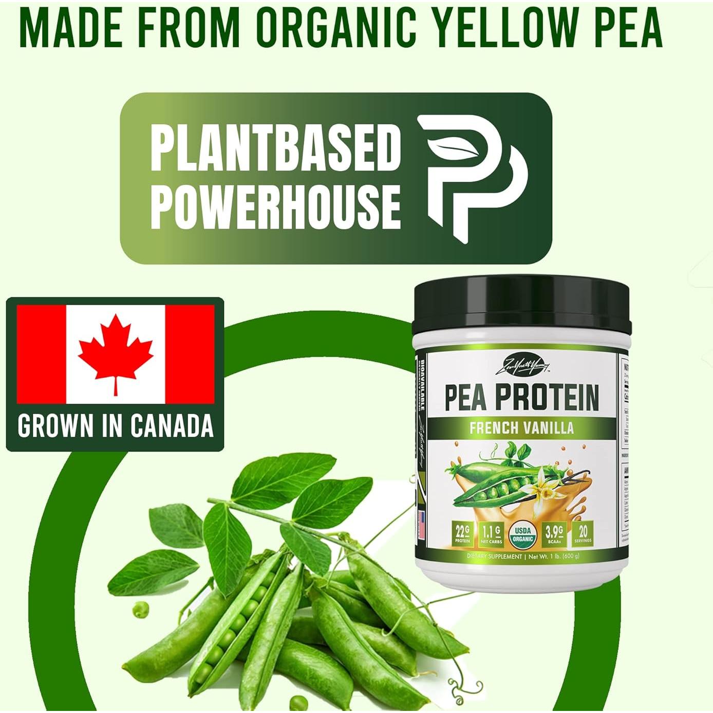 Proteína en Polvo de Guisante ZYY - Vainilla 22g Vegana 0.59kg