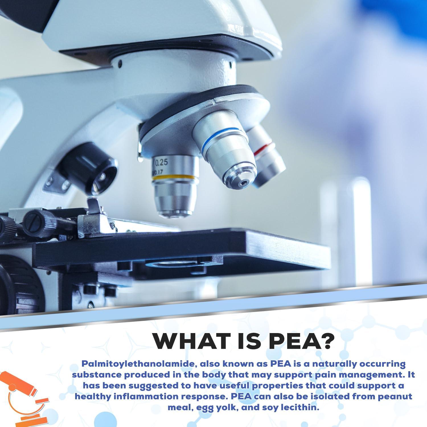 Polvo de Palmitoiletanolamida PEA 400mg 125g - Suplemento Natural