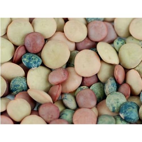 Mezcla de Semillas para Germinar Handy Pantry 227g Orgánico