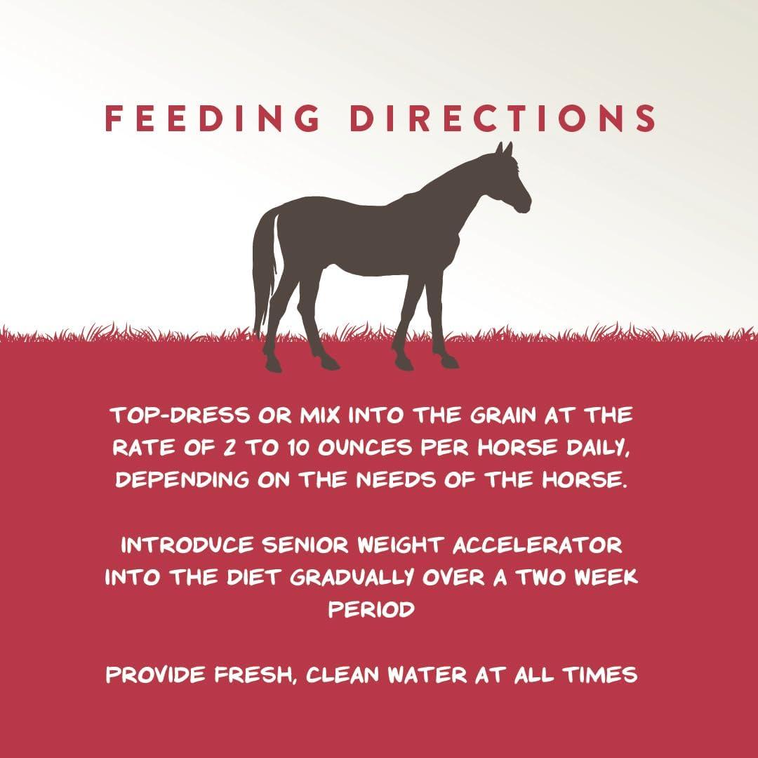 Suplemento Acelerador de Peso Manna Pro Senior 3.63 kg