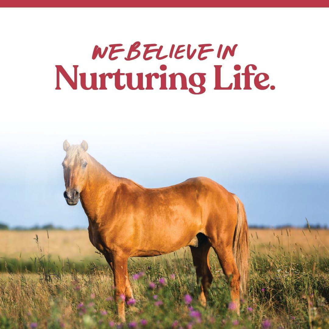 Suplemento Acelerador de Peso Manna Pro Senior 3.63 kg