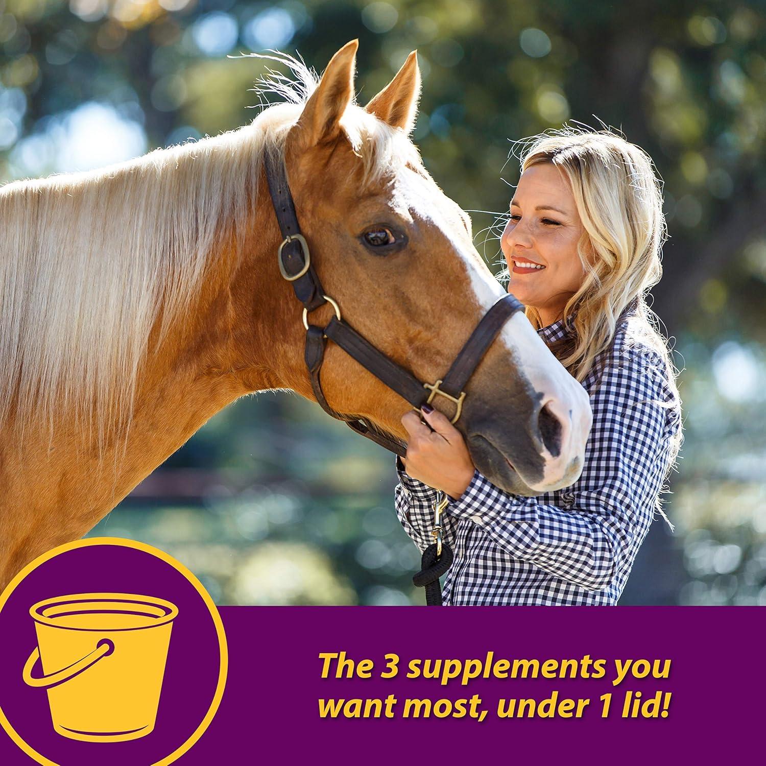 Suplemento 3 en 1 para Caballos Glucosamina 3.63 kg