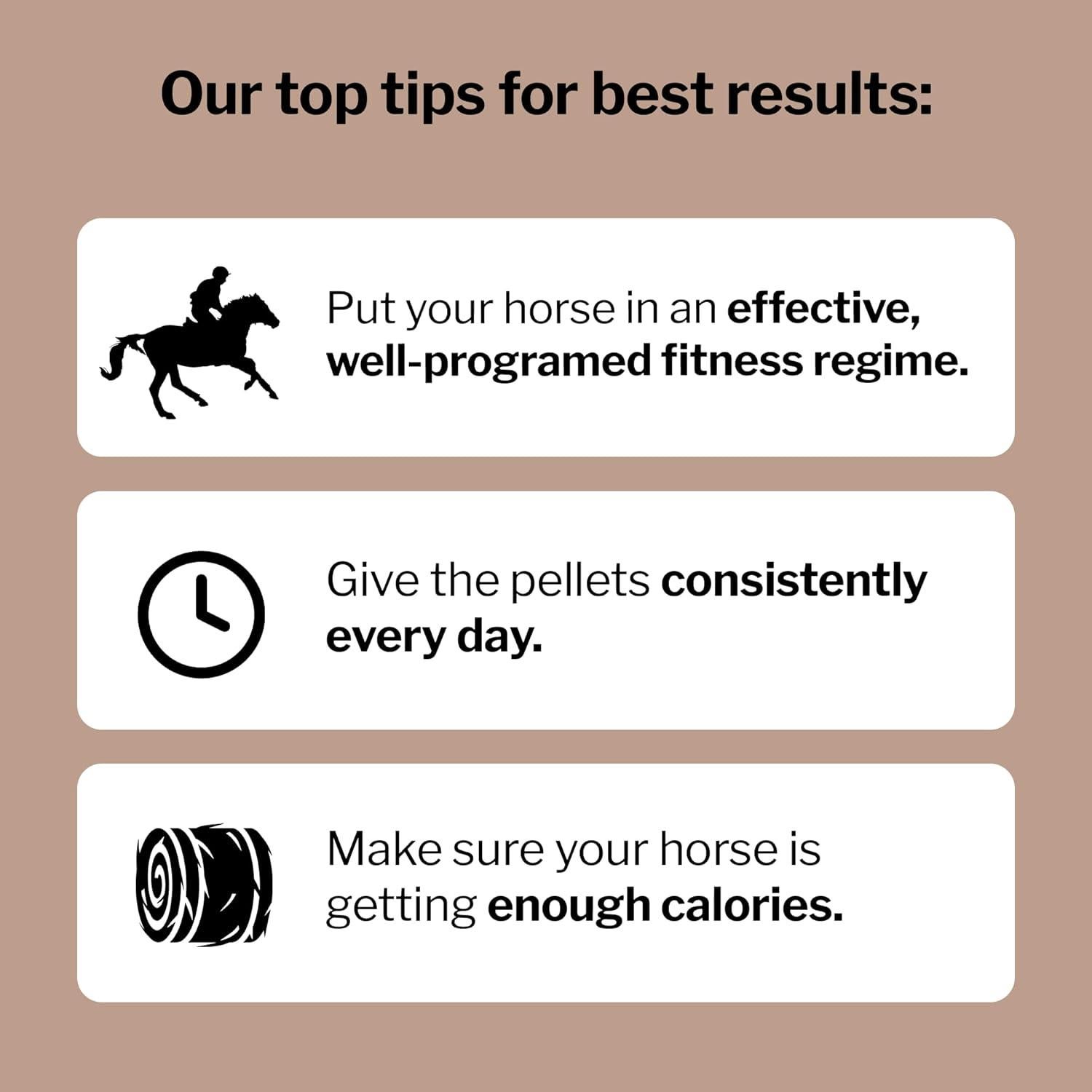 Suplemento Equino Formula 707 MuscleMx 1.36 kg - Acondicionador Muscular