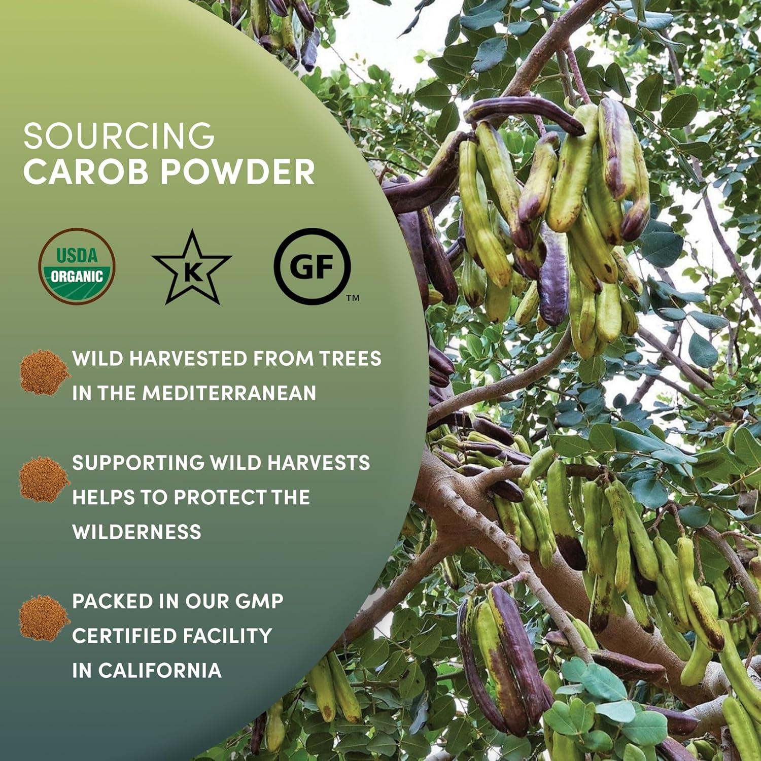 Polvo de Algarrobo Orgánico Worldwide Botanicals 454 g Tostado Medio