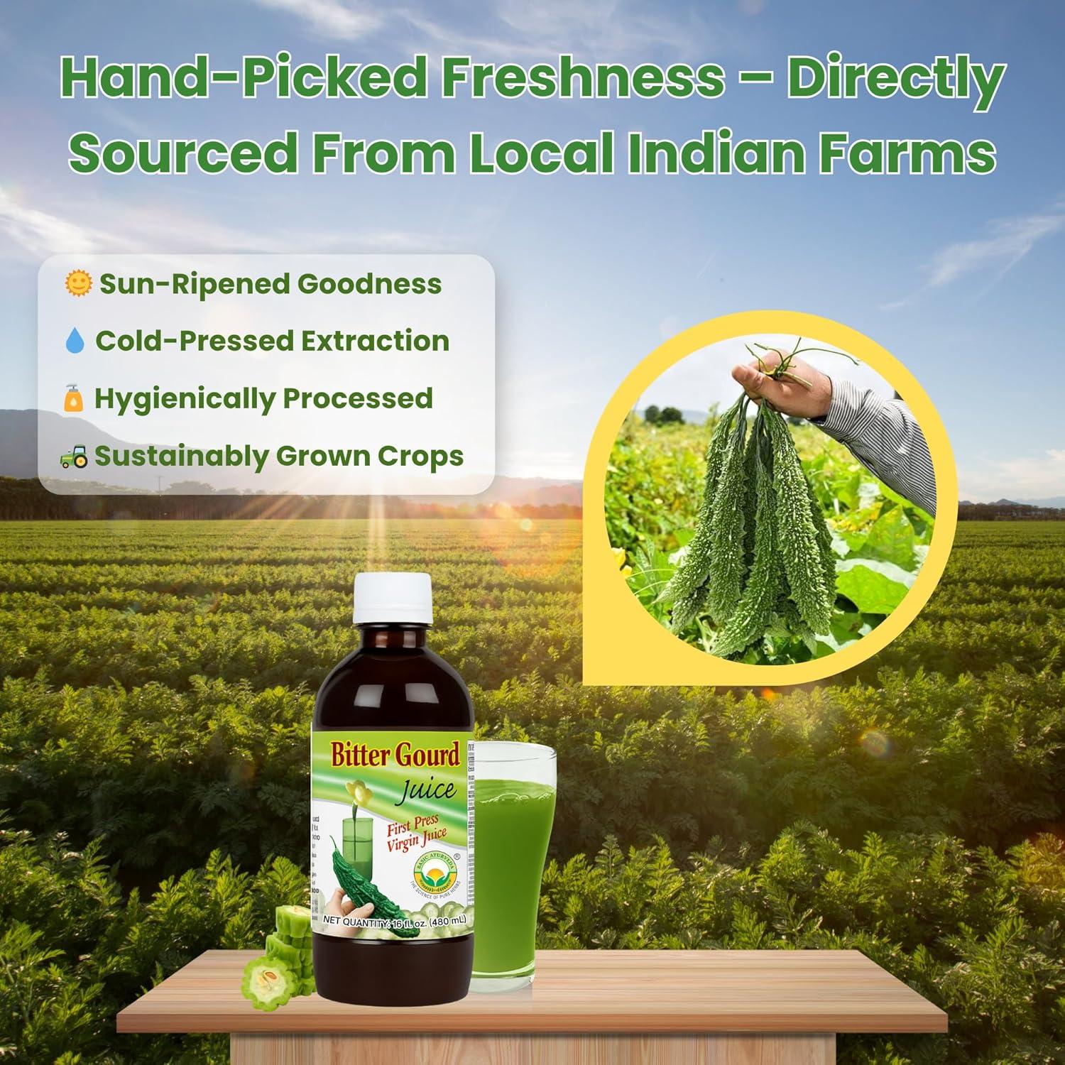 Jugo de Karela Ayurveda Básica 960ml - Natural y Sin Azúcar