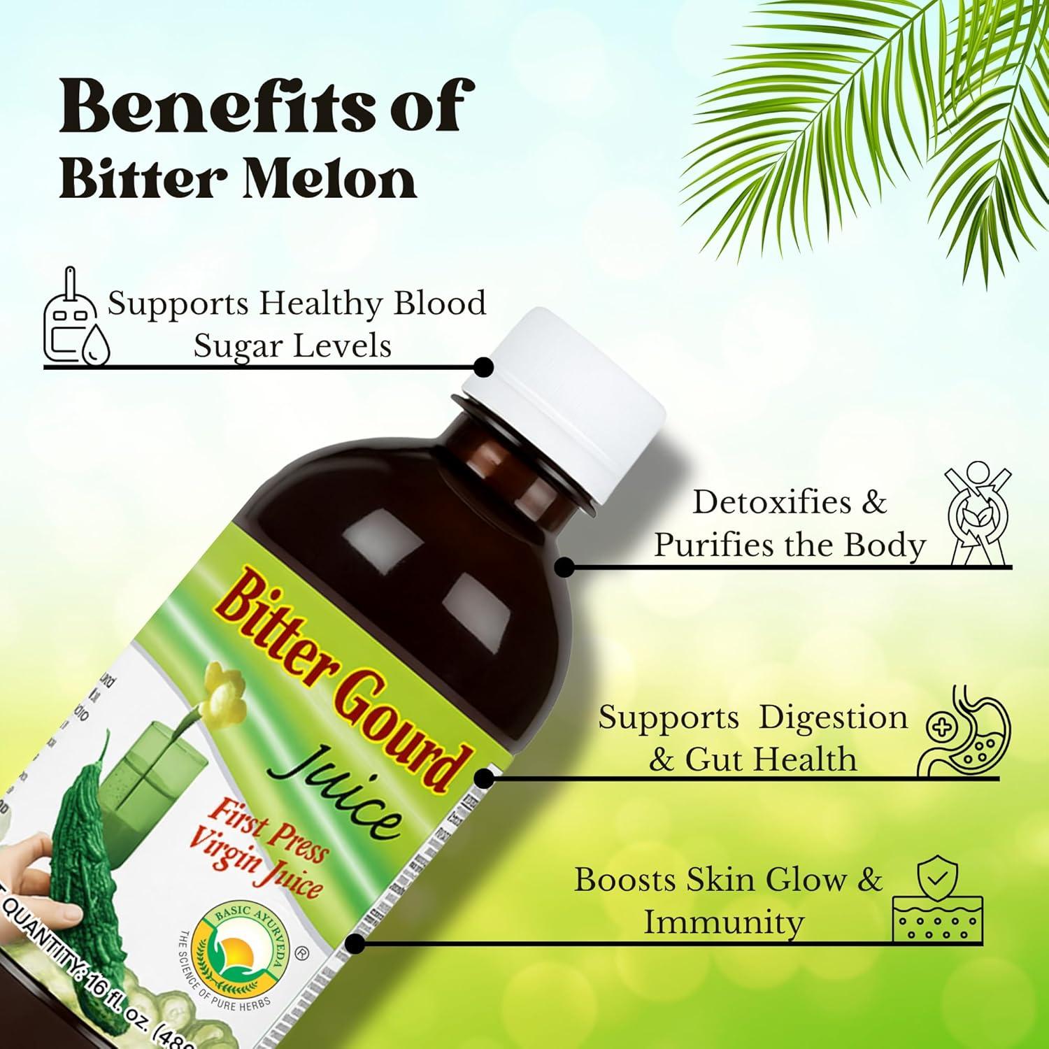 Jugo de Calabaza Amarga Ayurveda Básica 480ml - Salud Digestiva