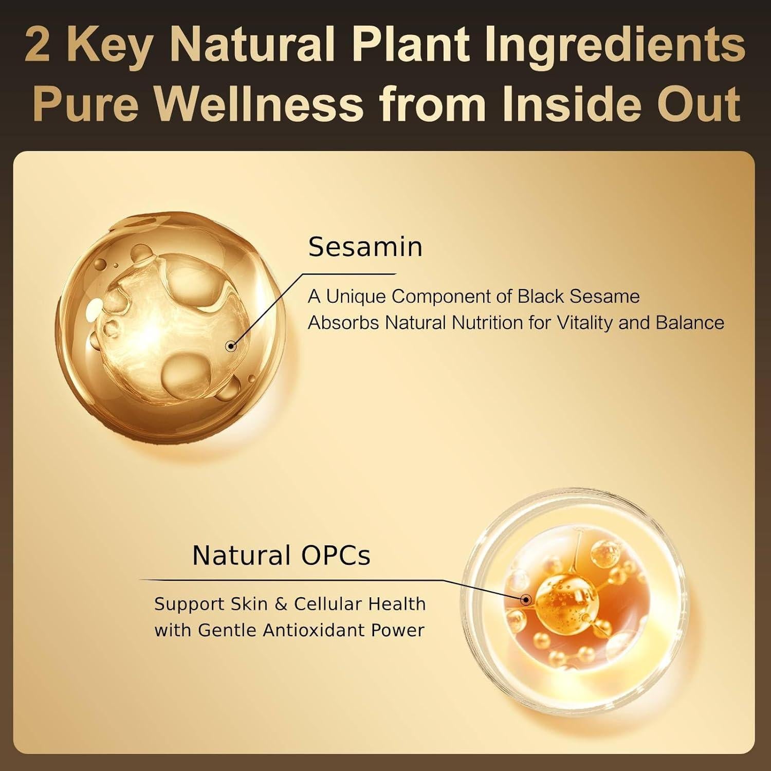 Polvo de Reemplazo de Comida Vegano I WUGU 546g Sin Azúcar