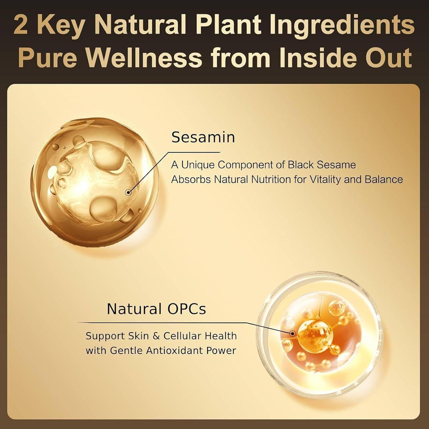 Polvo de Sésamo Negro con Nueces 453g - Bebida Instantánea Vegana