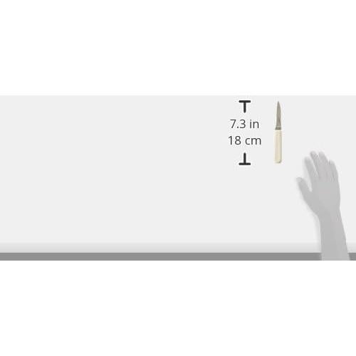 Cuchillo de Pelar Winco K-40P 7.62 cm Acero Inoxidable