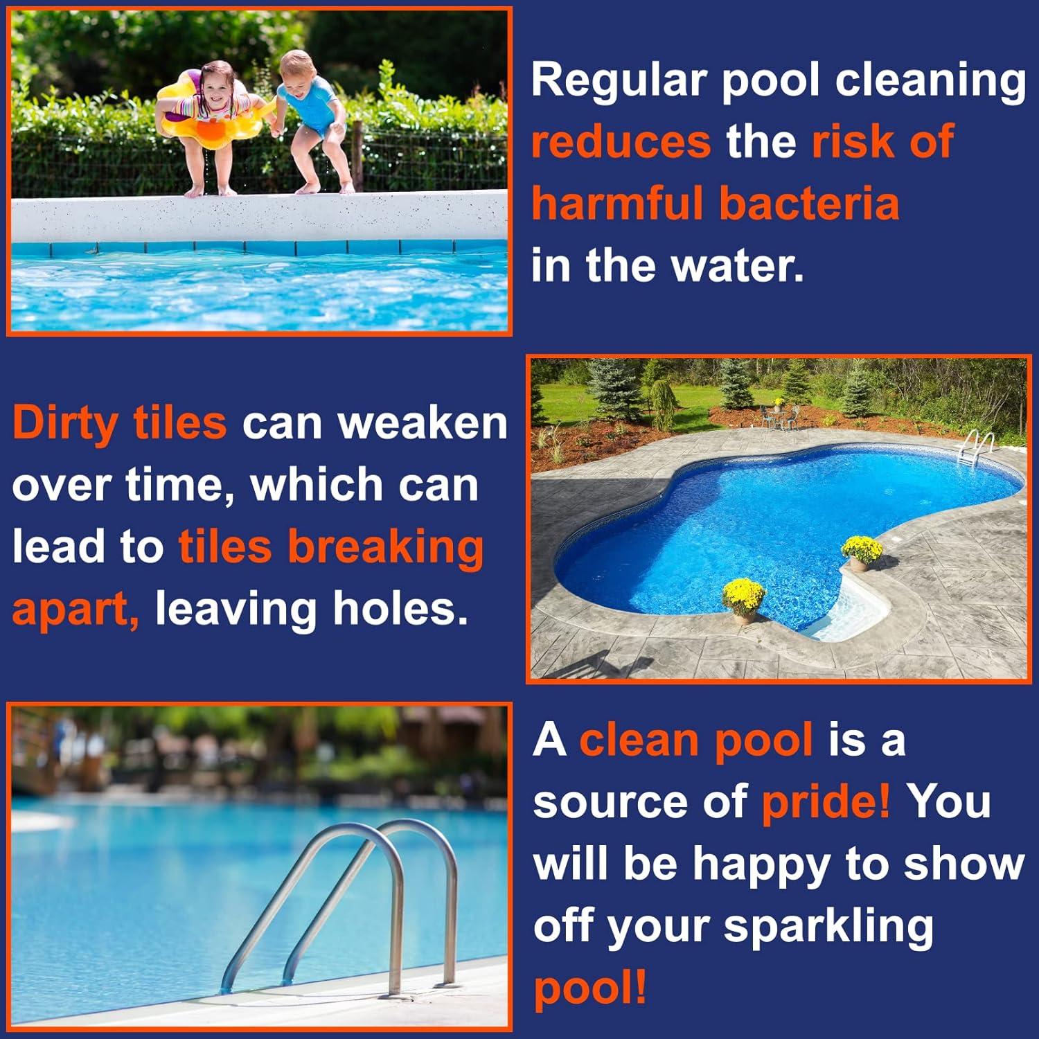 Bloque de Pumice para Piscina Billy Buckskin 0.45 kg