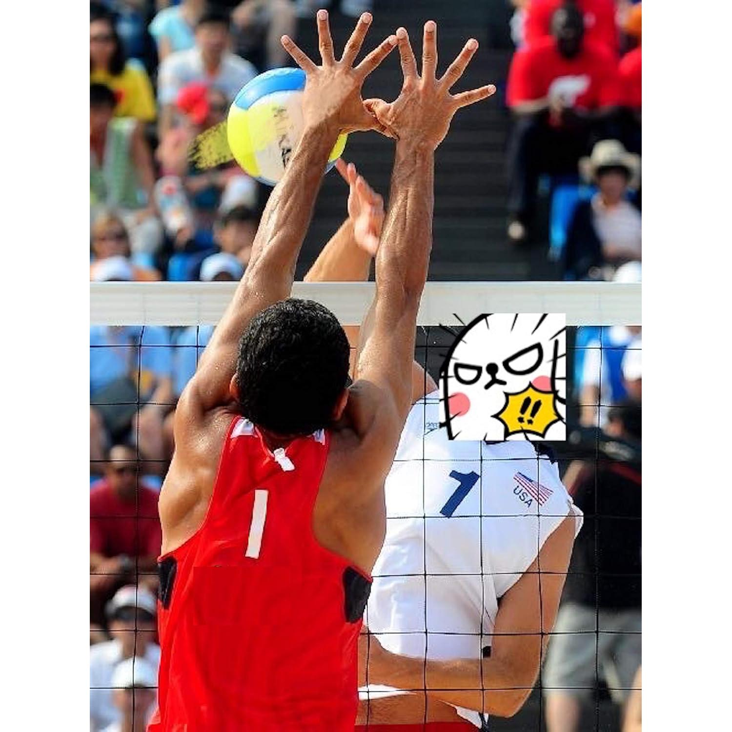 Red de Voleibol Profesional IQSTRP 9.75x0.91m Alta Resistencia