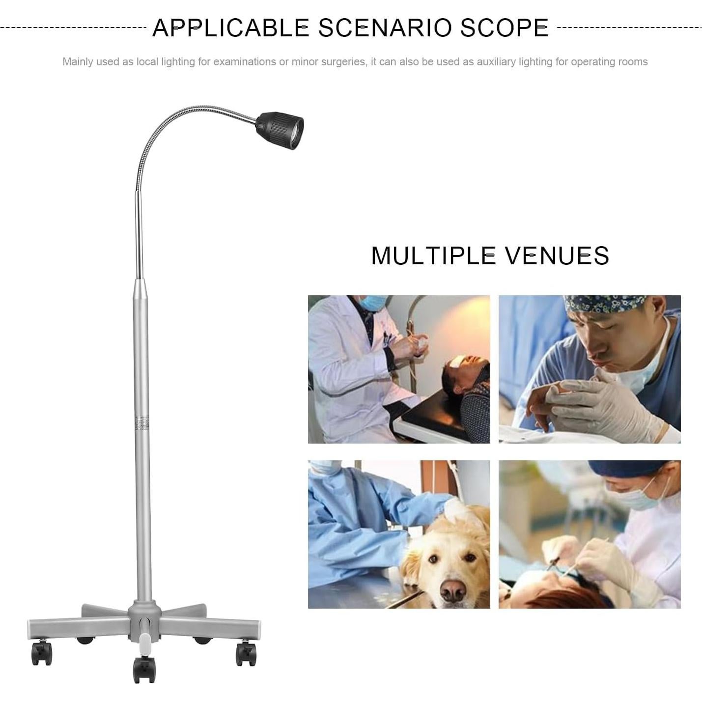 Lámpara de examen médico Global-Dental 35W luz halógena