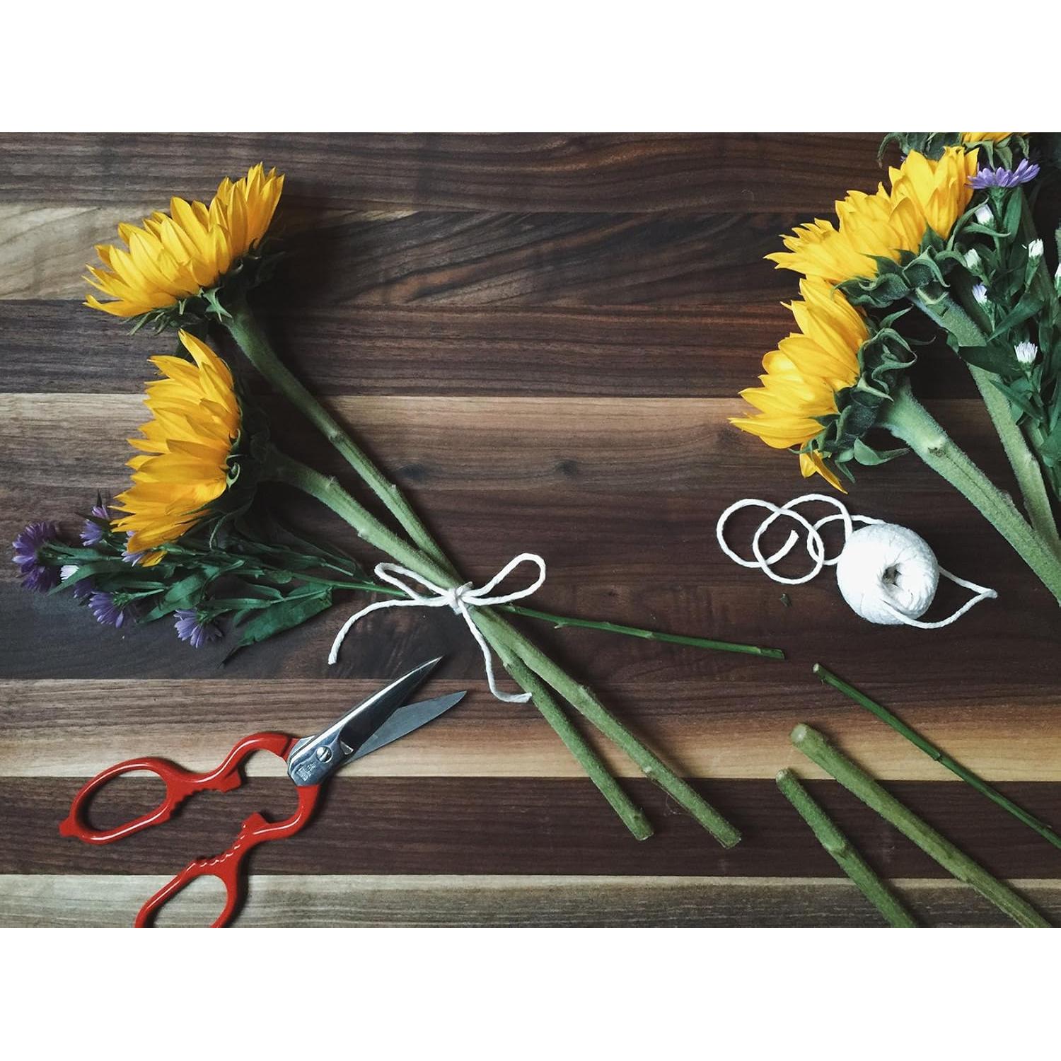 Tijeras de Cocina Multiusos ZWILLING Rojo 25.4 cm