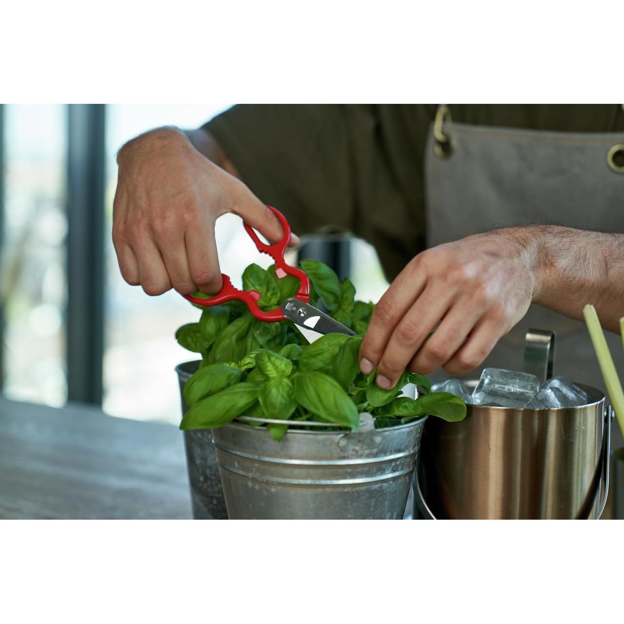 Tijeras de Cocina Multiusos ZWILLING Rojo 25.4 cm