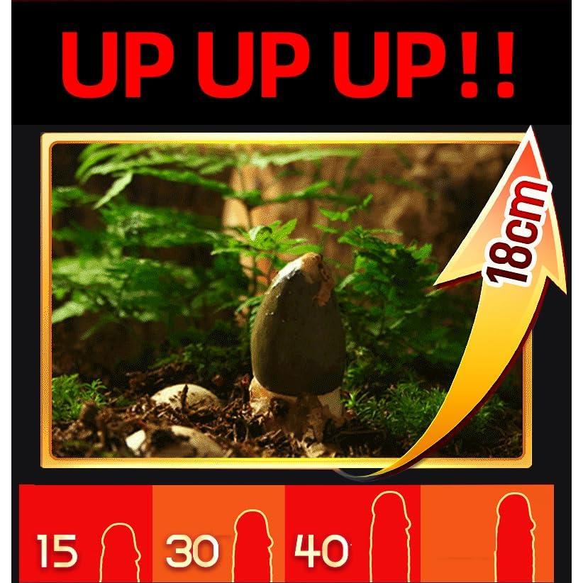 Gel de Masaje Huge Men XXL - Aumento de Tamaño y Fuerza