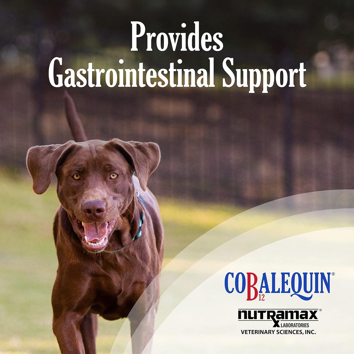 Suplemento B12 Cobalequin Nutramax para Perros Grandes 45 Tabletas