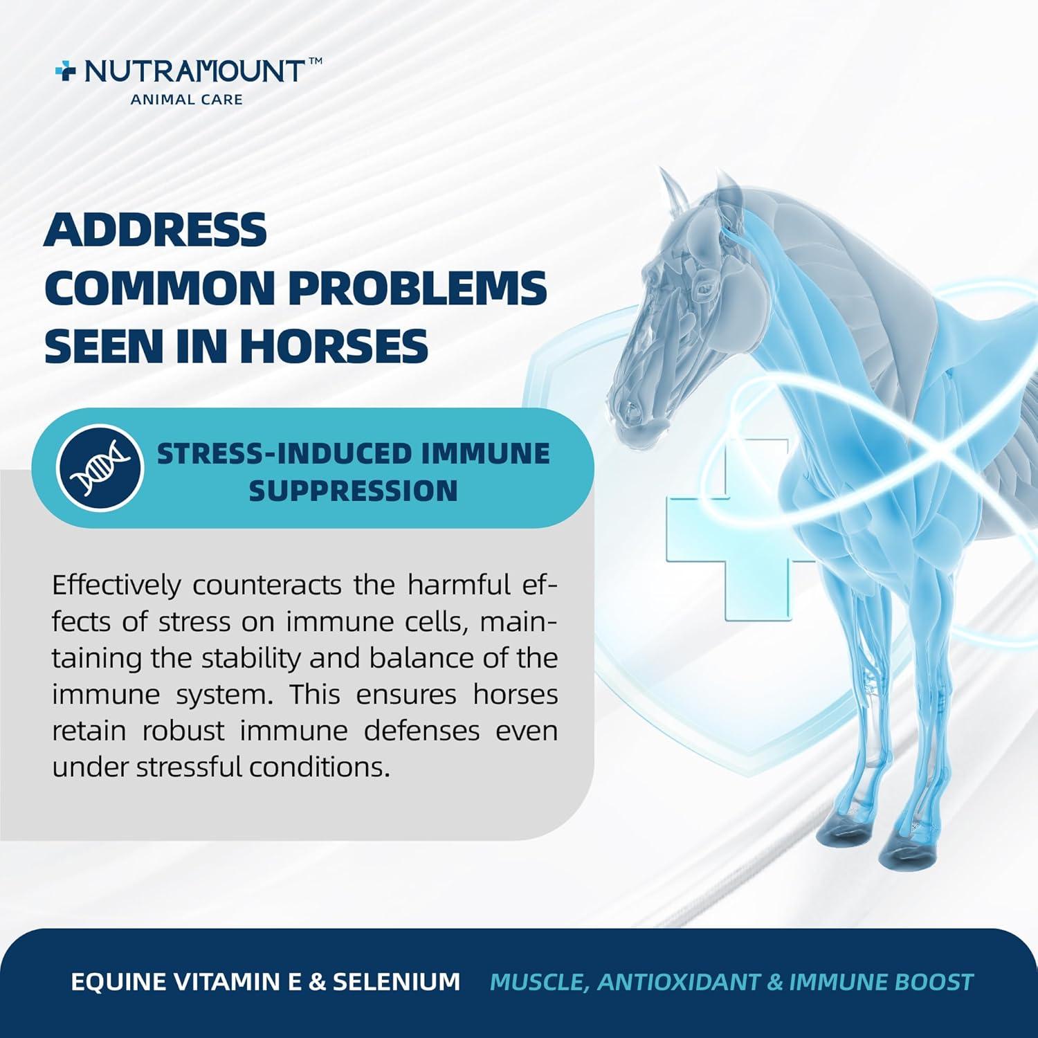 Suplemento en Polvo de Vitamina E y Selenio Nutramount 30 Días