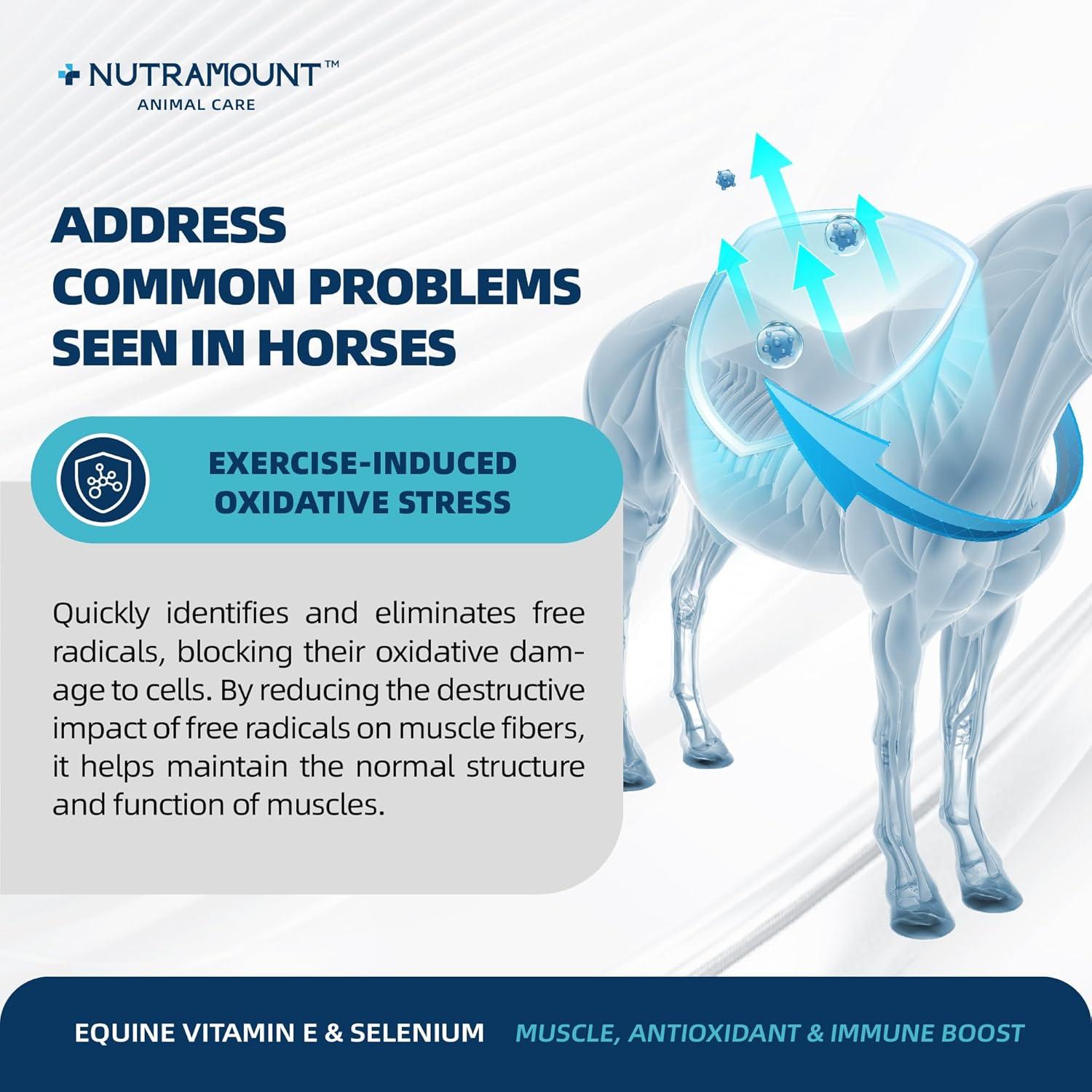 Suplemento en Polvo de Vitamina E y Selenio Nutramount 30 Días