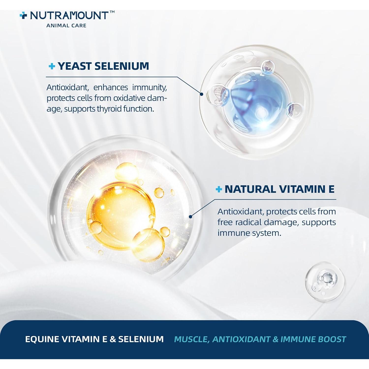 Suplemento en Polvo de Vitamina E y Selenio Nutramount 30 Días