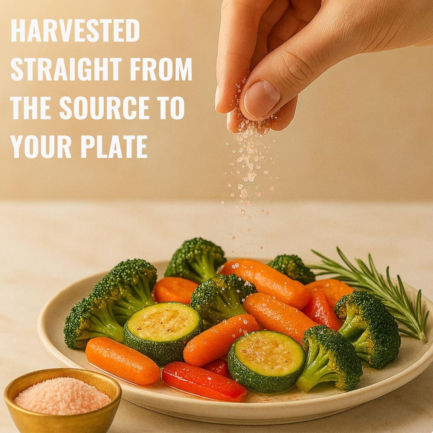 Sal de Himalaya Rosa Extra Fina LA SALT CO 2.27 kg Grado Alimenticio