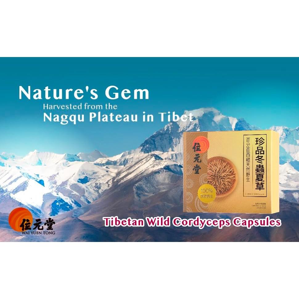 Cápsulas de Cordyceps Tibetanos Silvestres Wai Yuen Tong - 24 Unidades