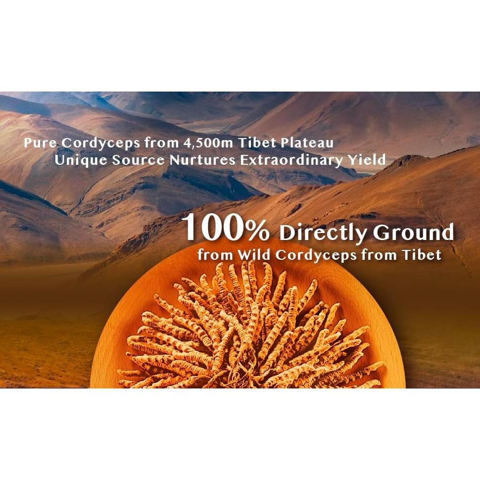 Cápsulas de Cordyceps Tibetanos Silvestres Wai Yuen Tong - 24 Unidades