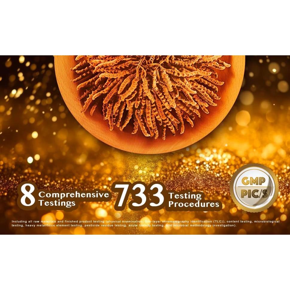 Cápsulas de Cordyceps Tibetanos Silvestres Wai Yuen Tong - 24 Unidades