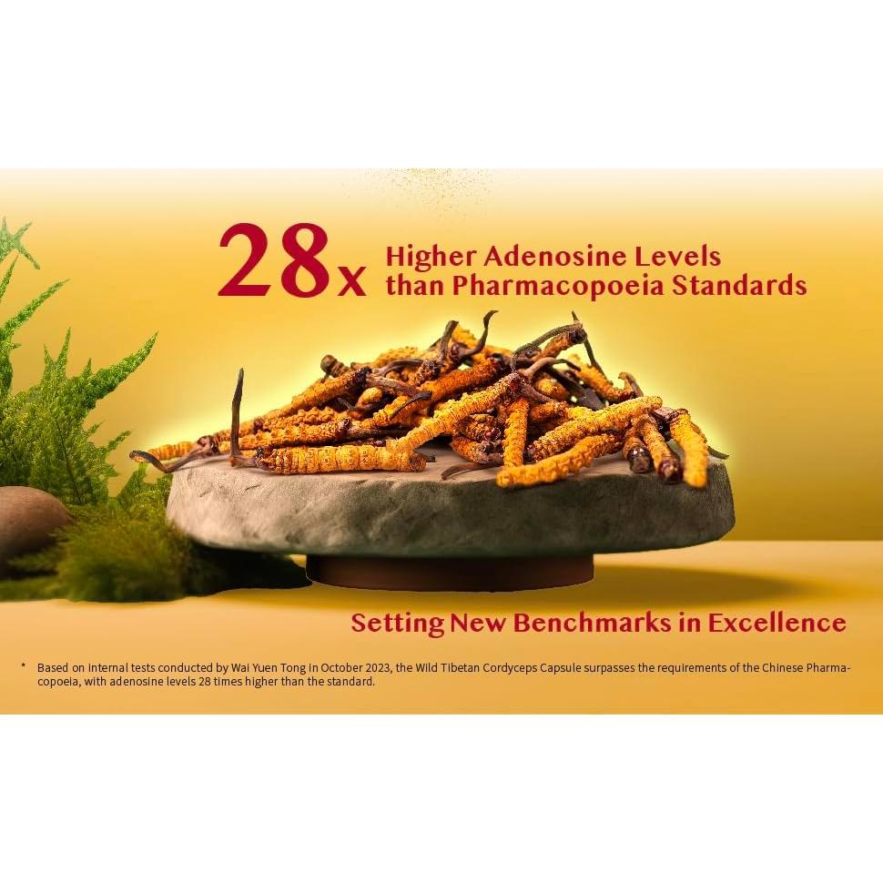 Cápsulas de Cordyceps Tibetanos Silvestres Wai Yuen Tong - 24 Unidades