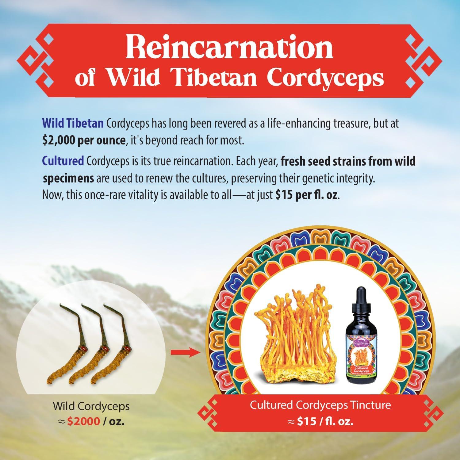 Gotas de Cordyceps Dragon Herbs 60ml - Suplemento Vegetariano