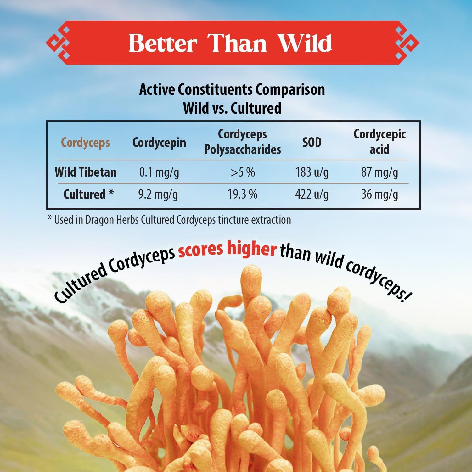 Gotas de Cordyceps Dragon Herbs 60ml - Suplemento Vegetariano