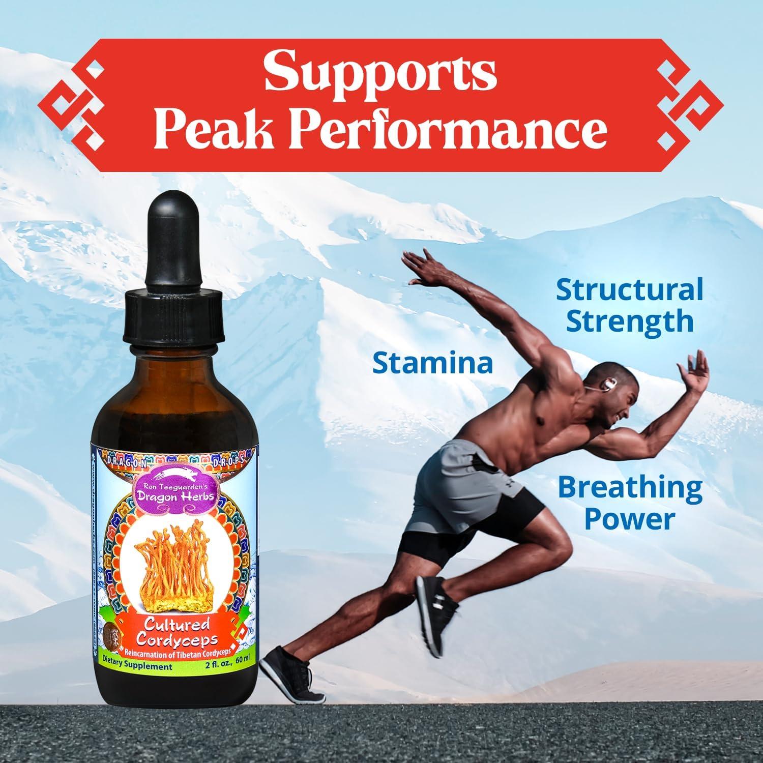 Gotas de Cordyceps Dragon Herbs 60ml - Suplemento Vegetariano