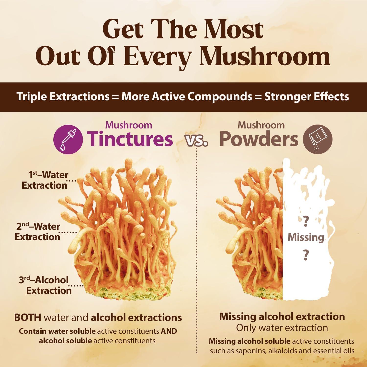 Gotas de Cordyceps Dragon Herbs 60ml - Suplemento Vegetariano