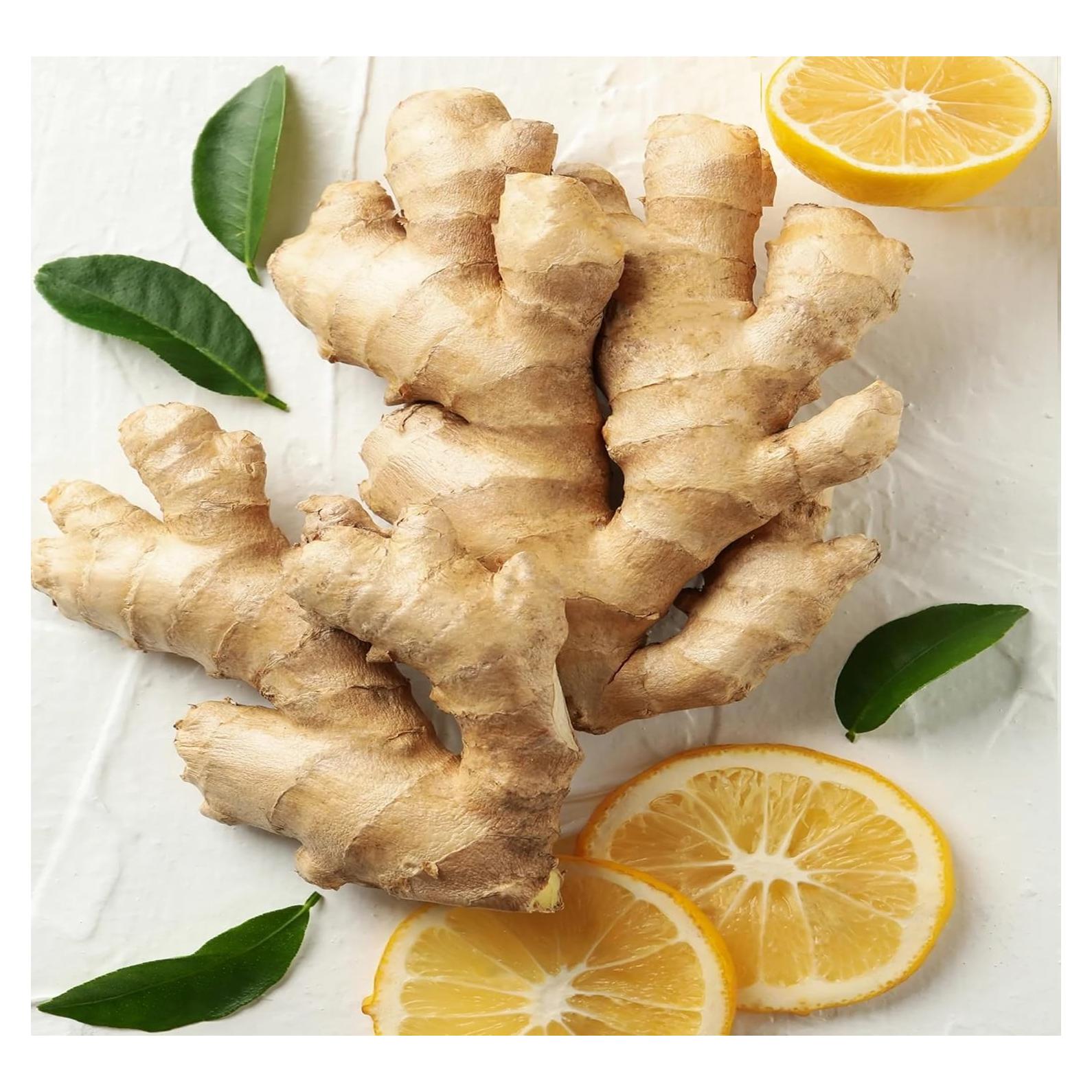 Jengibre Fresco Orgánico Snow Hill del Himalaya 0.91 kg