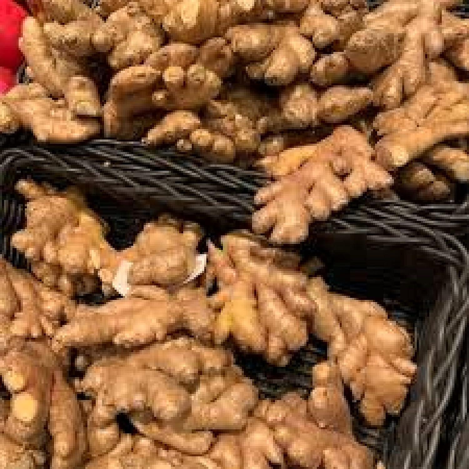 Jengibre Fresco Orgánico Snow Hill del Himalaya 0.91 kg