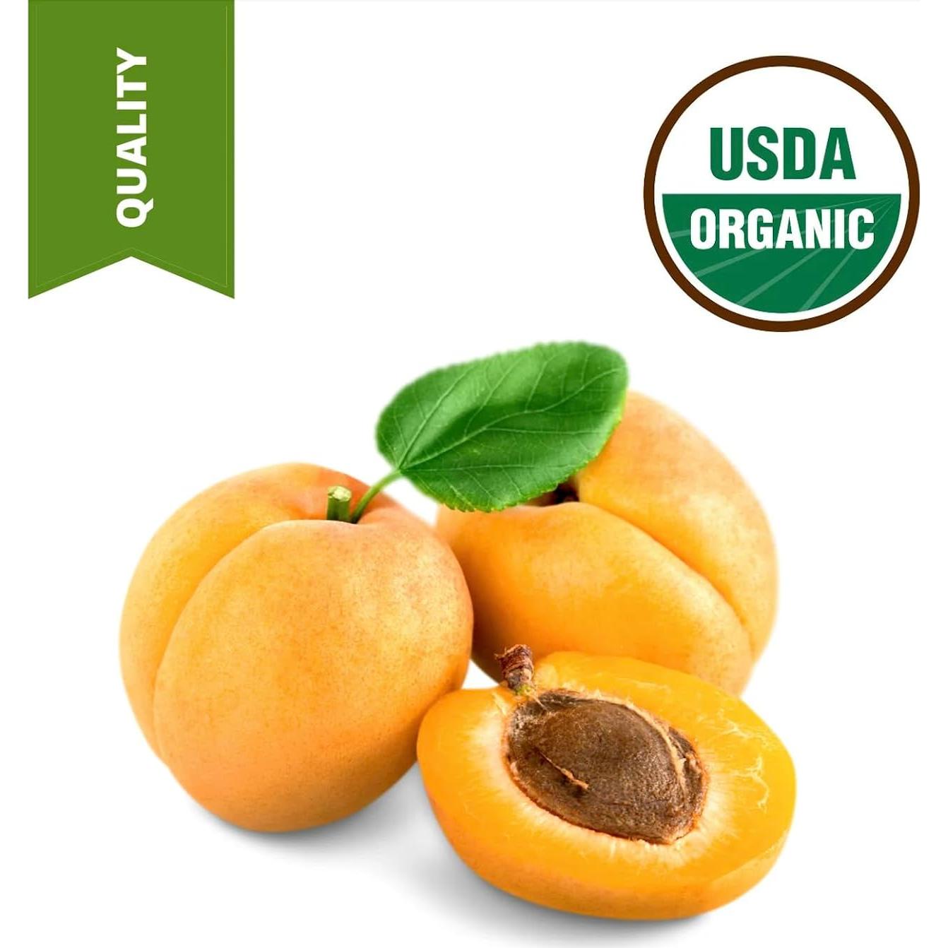 Aceite de Hueso de Albaricoque Orgánico SULU 3.785L Prensado en Frío