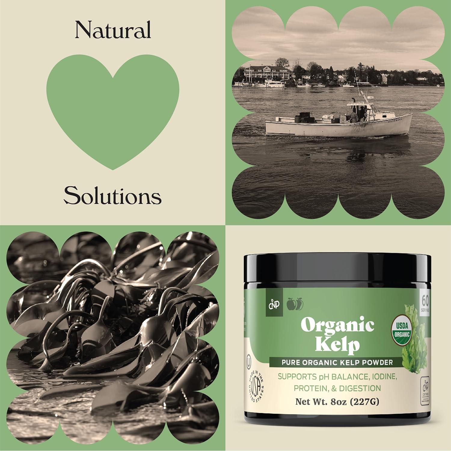 Suplemento de Kelp Orgánico en Polvo 226g - Yodo y Tiroides