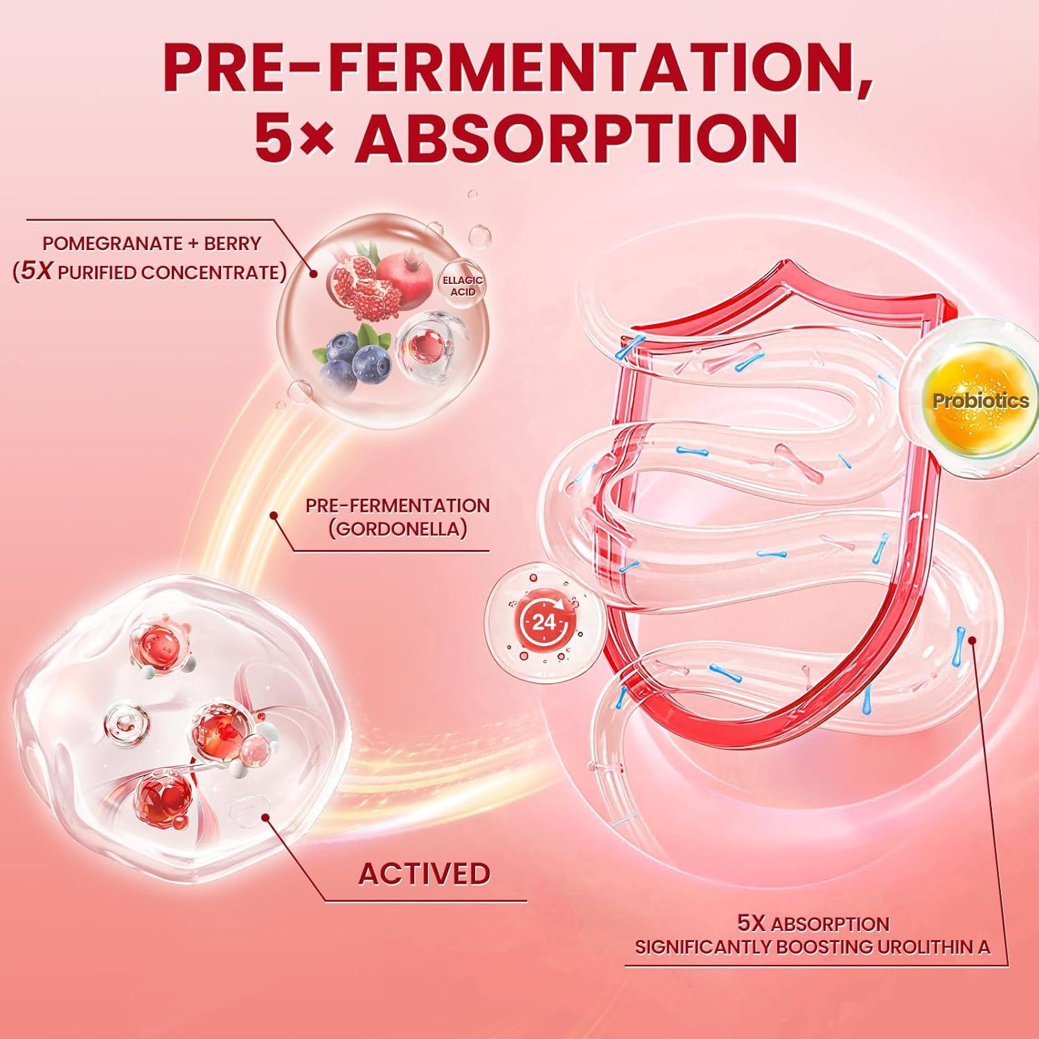 Urolithin A+ Lukaree 120 Cápsulas - Soporte Celular y Digestivo