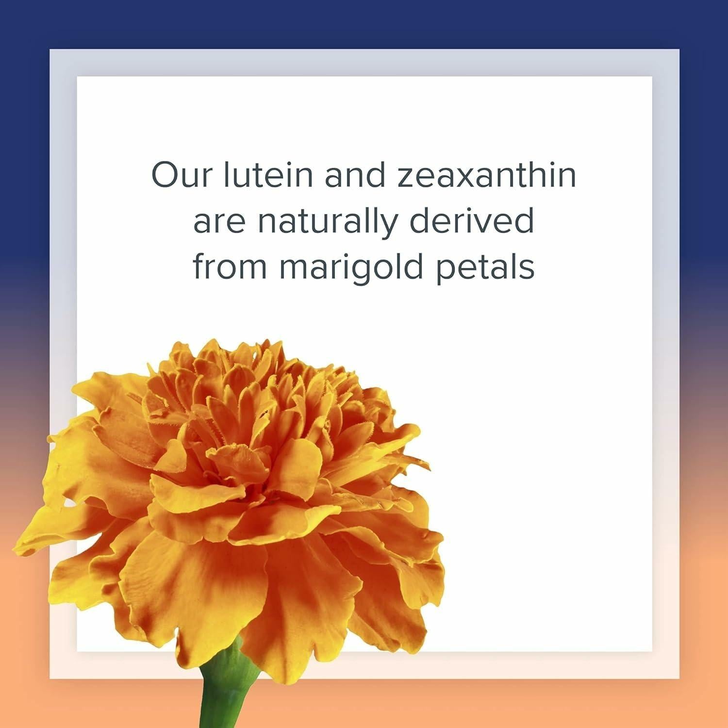 Luteína 40 mg Factores Naturales con Zeaxantina 60 Gelatinas