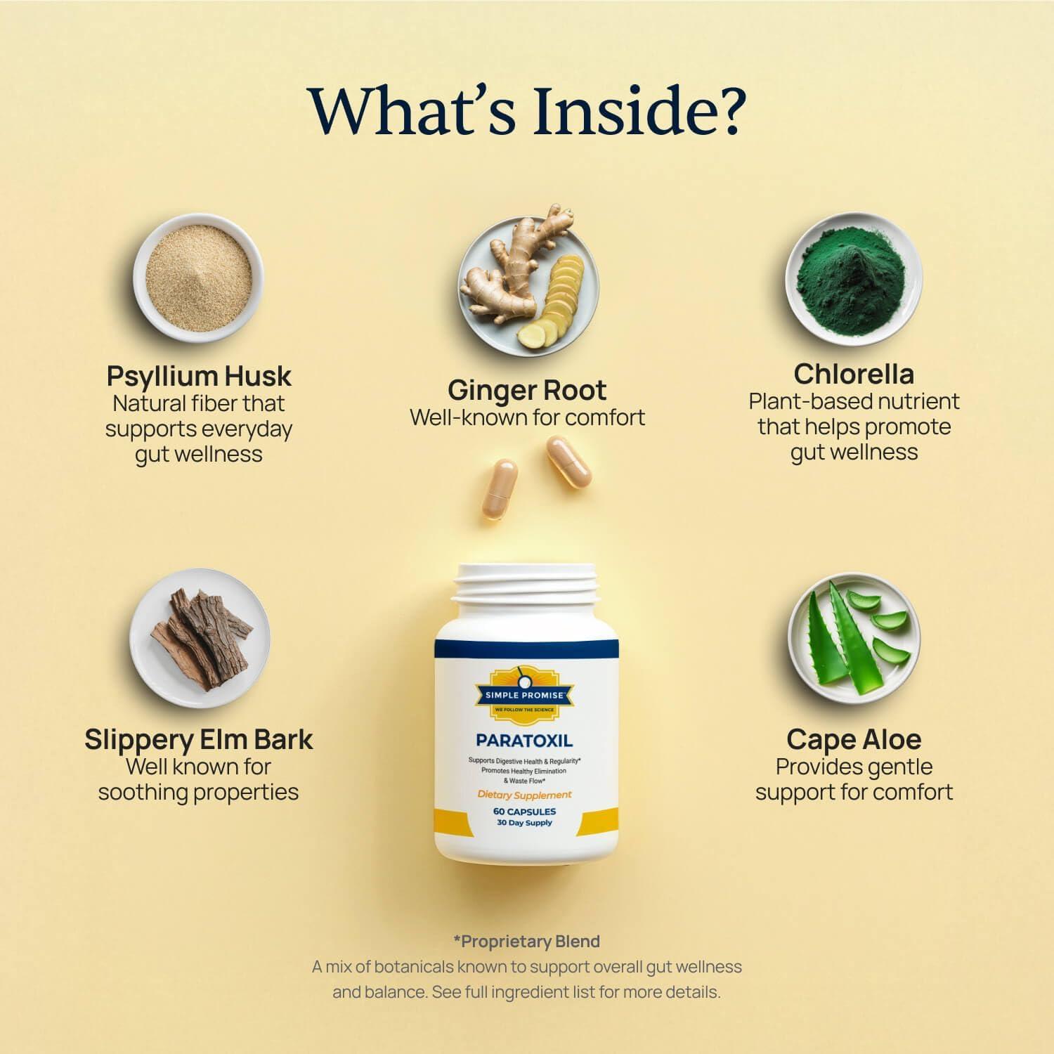 Cápsulas de Psyllium Promesa Simple - 60 Unidades - Soporte Intestinal Natural