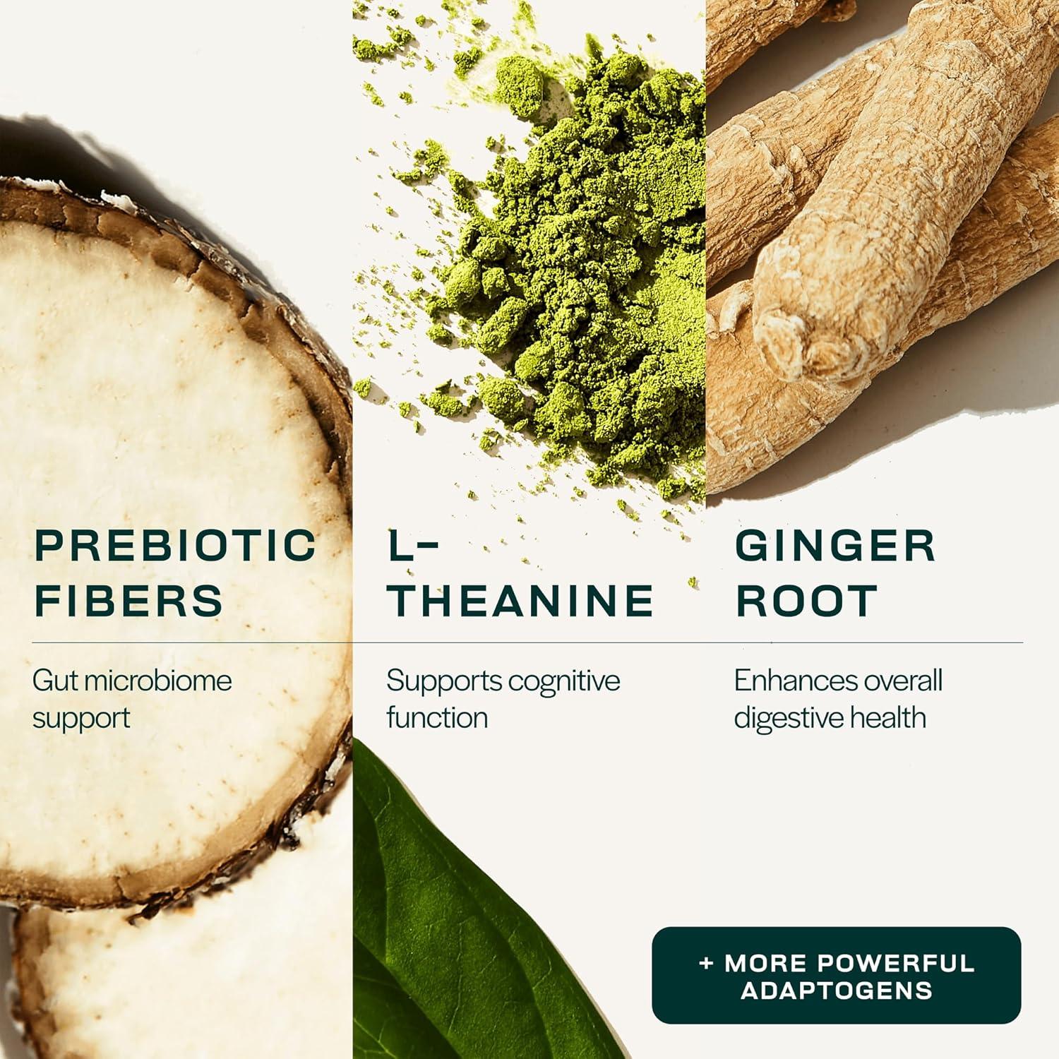 Gainful Polvo Verde Digestivo 168g - Energía y Enfoque