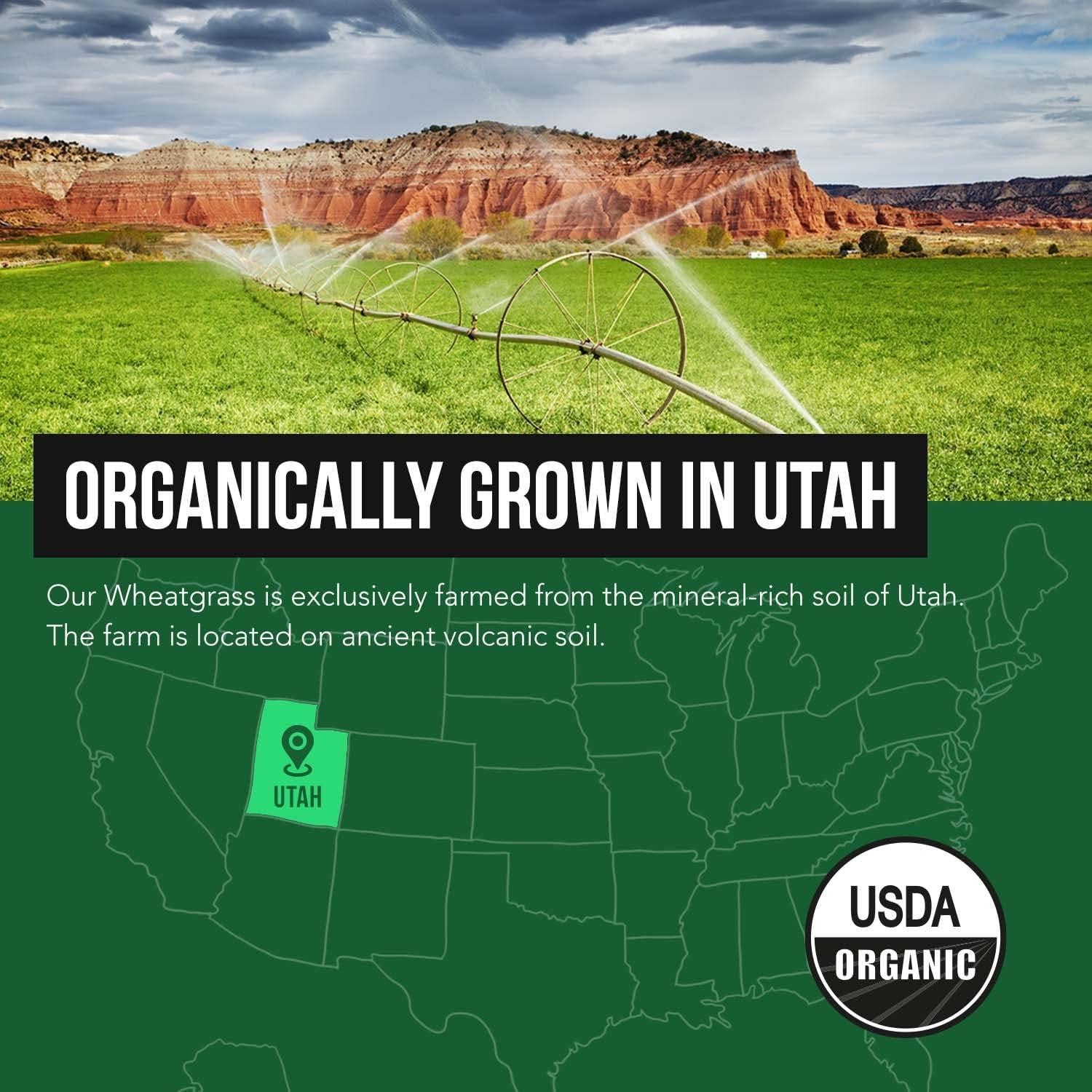 Polvo de Jugo de Pasto de Trigo Orgánico Triquetra 176.4 g Limón