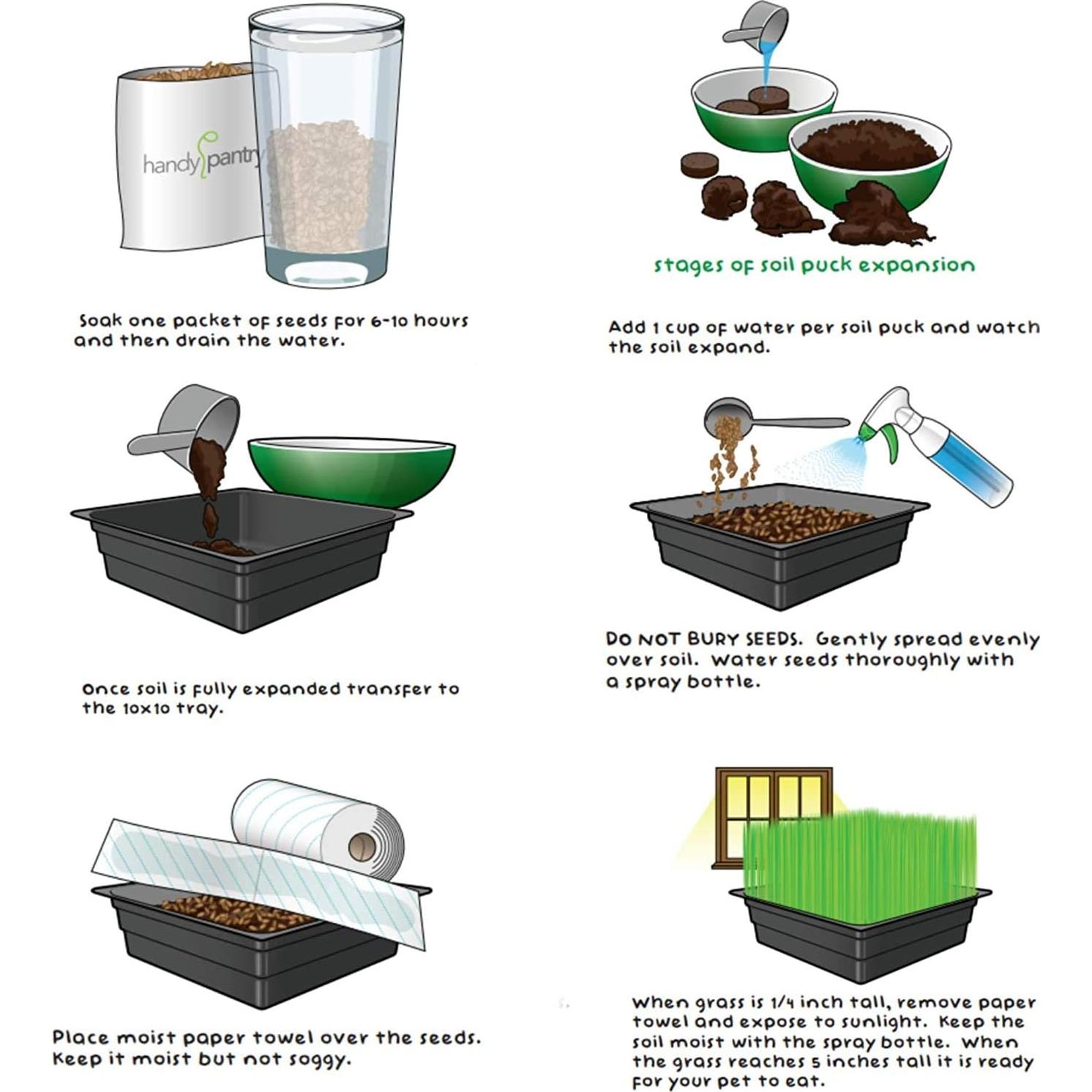 Kit de Hierba Orgánica para Gatos Handy Pantry - 1 Bandeja y Semilla