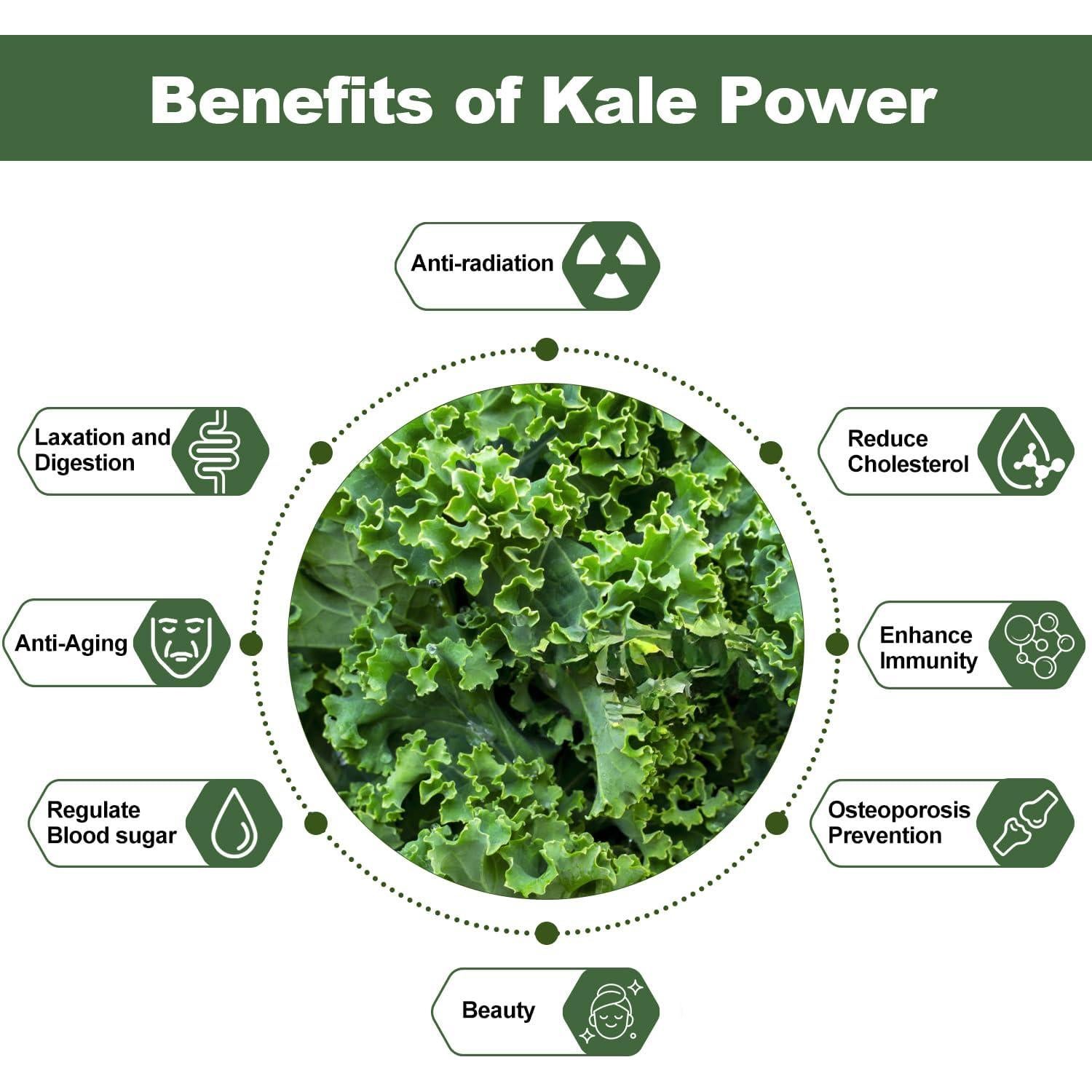 Polvo de Col Rizada Orgánico DRUOUO 3pack 227g - Super Verdes