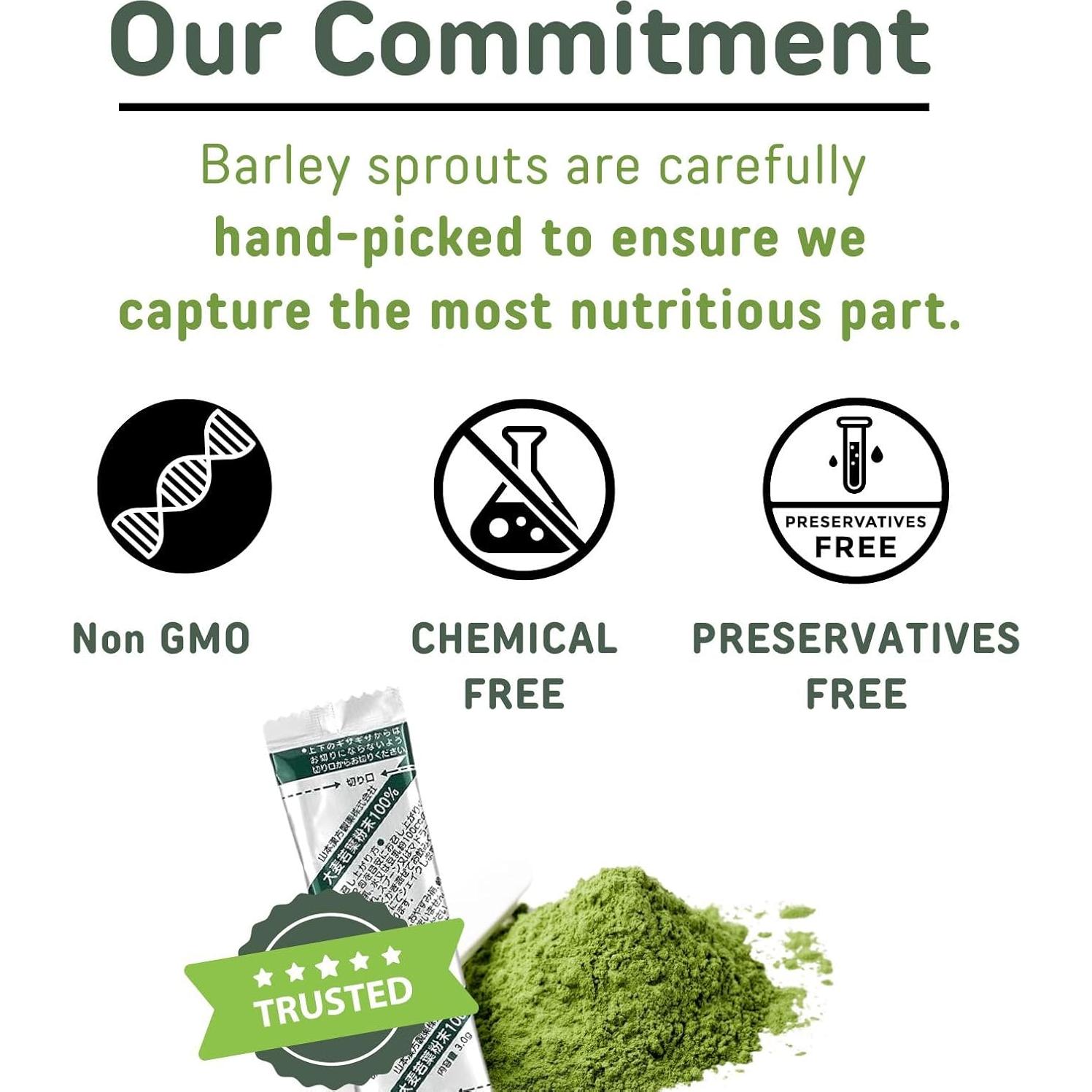 Polvo de Césped de Cebada Yamamoto Kanpoh 44 Sobres Vegano