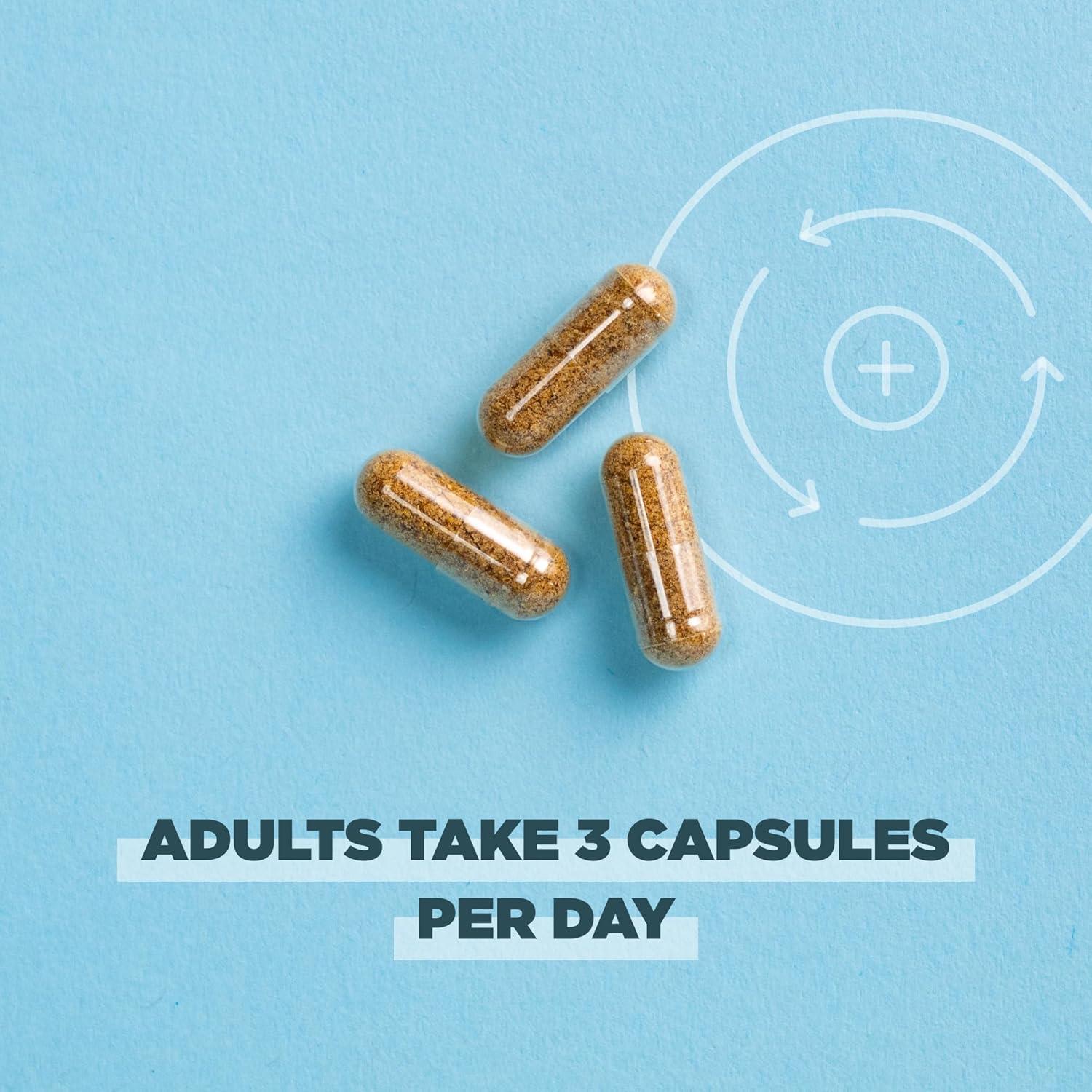 Suplemento de Limpieza de Hígado Ancient Nutrition 90 Cápsulas