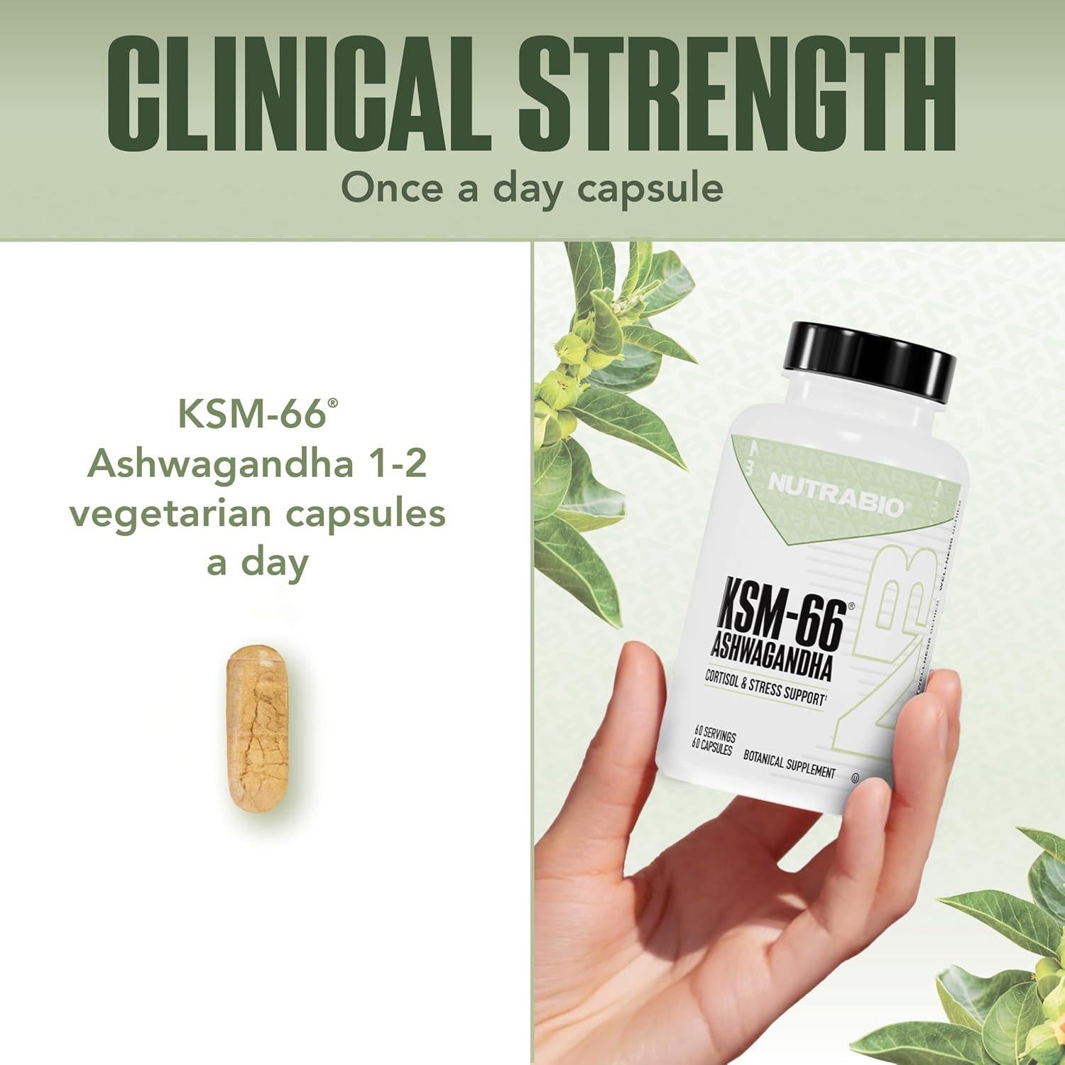 NutraBio Ashwagandha KSM-66 600mg | Suplemento Herbal 60 Cápsulas