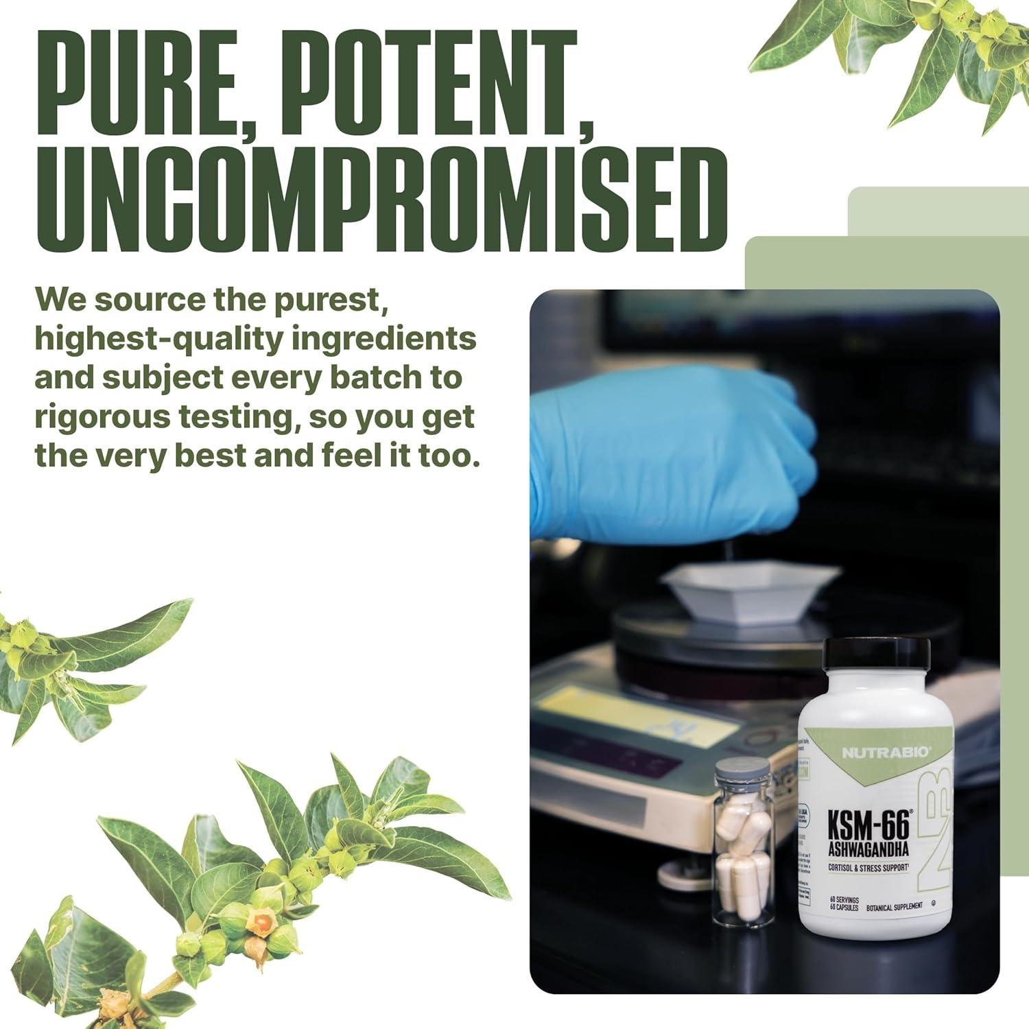 NutraBio Ashwagandha KSM-66 600mg | Suplemento Herbal 60 Cápsulas