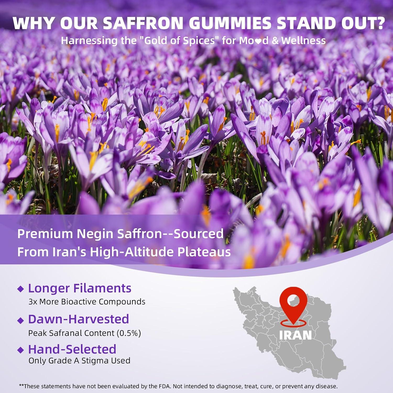 Gomitas de Azafrán Mchokuu 60Ct - Enfoque, Estrés y Relajación